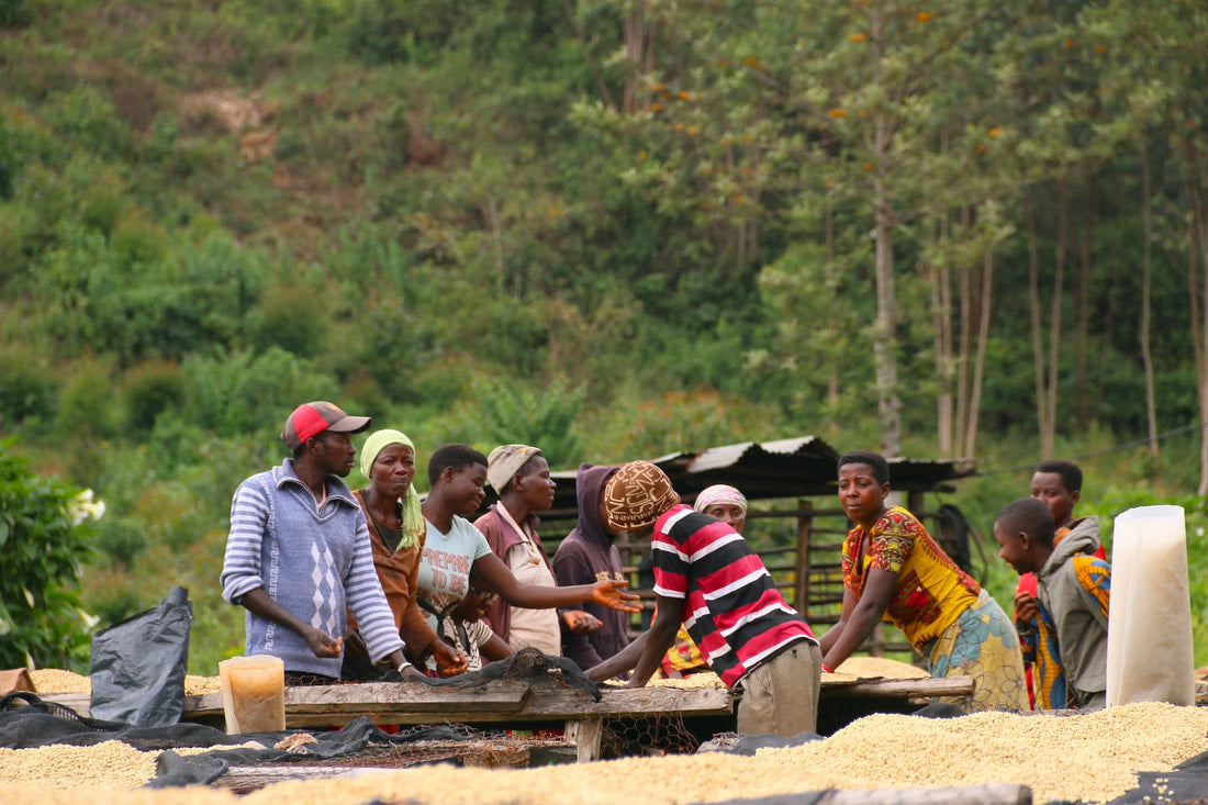 RWANDA MUHORORO