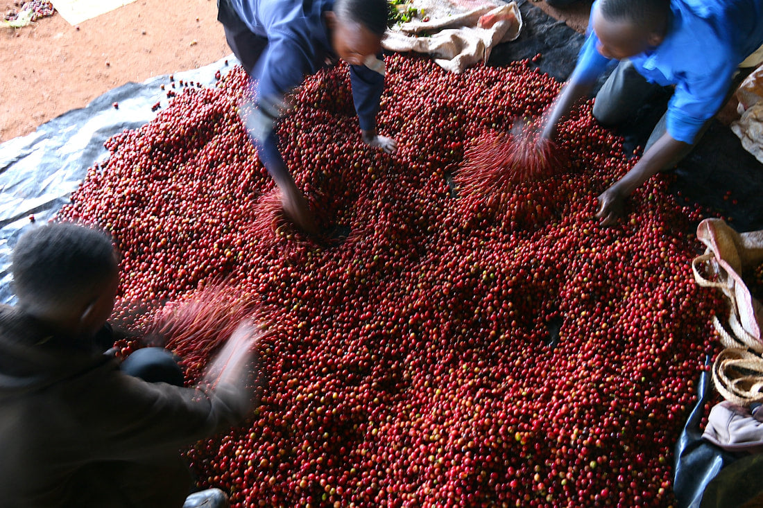 KENYA MUGAYA AB