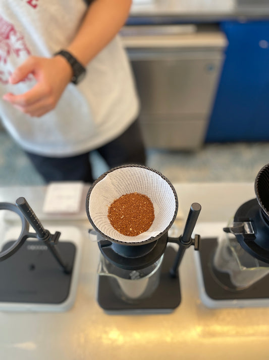 LIGHT VS DARK ROAST: WHAT’S THE REAL DIFFERENCE?