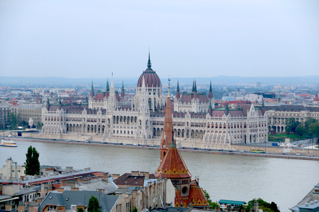 DID YOU KNOW THAT COFFEE WAS INTRODUCED TO EUROPE THROUGH HUNGARY?