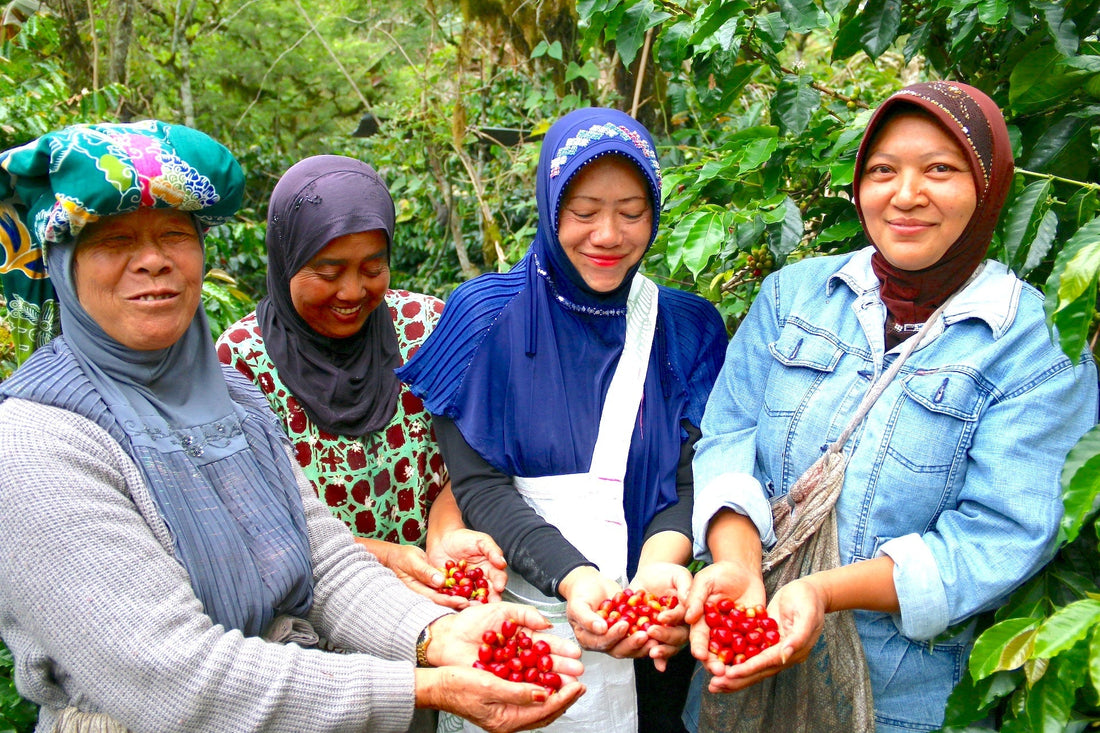 EMPOWERED BY COFFEE: Women of Sumatra