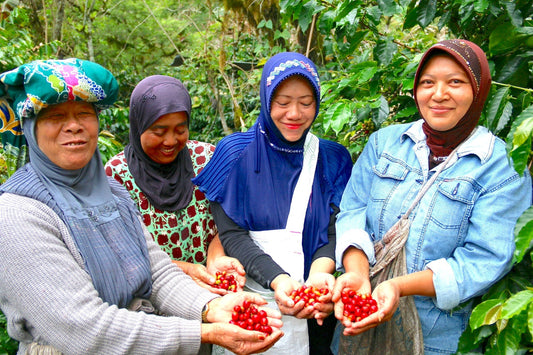 EMPOWERED BY COFFEE: Women of Sumatra