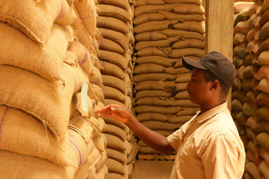 UNDERSTANDING COFFEE TRACEABILITY: THE STORY BEHIND YOUR CUP