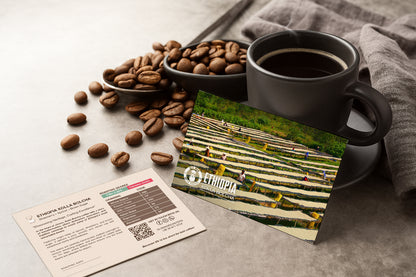 ETHIOPIA KOLLA BOLCHA