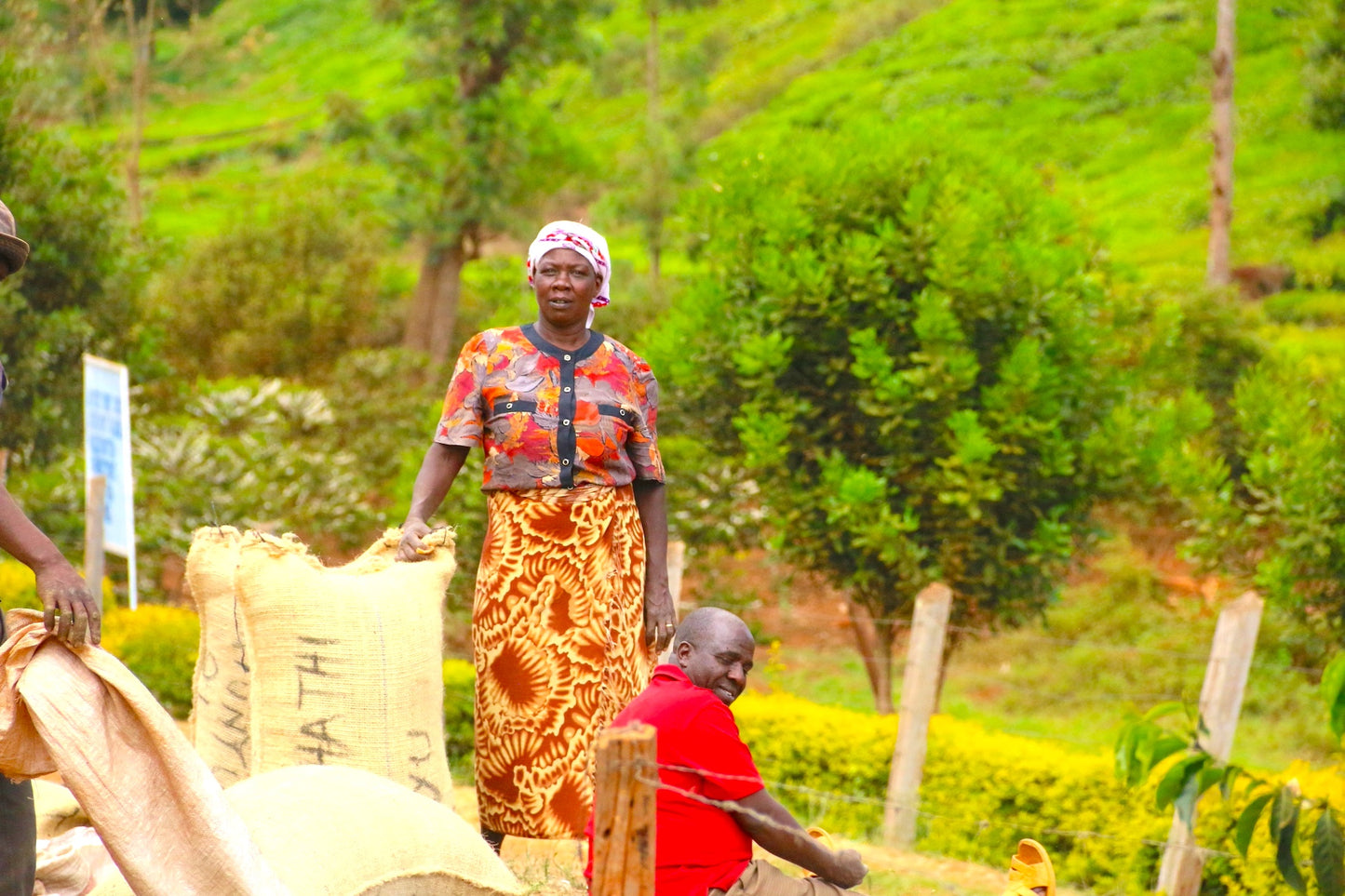 KENYA GACHAMI AB