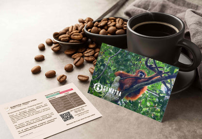 SUMATRA ORANG UTAN