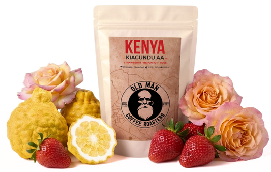 KENYA KIAGUNDU AA