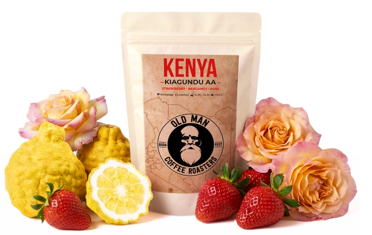 KENYA KIAGUNDU AA