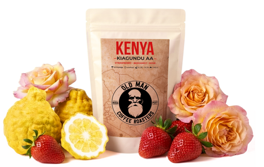KENYA KIAGUNDU AA